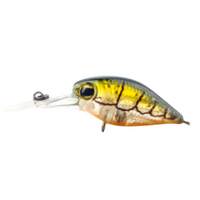 BRAND NEW - Pro Lure D36 Deep Crankbait Hardbody Fishing Lure ProLure -  Choose C $19.05 - PicClick AU