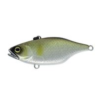 Jackall TN 50 & 60 SILENT Vibration Fishing Lure