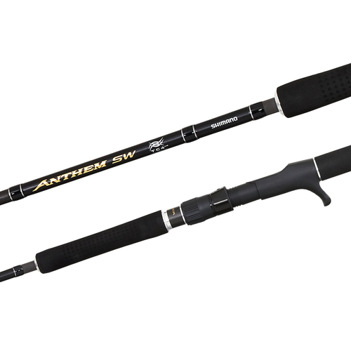 Shimano Anthem SW Overhead Fishing Rod [Model: 6'6" / 40-65lb / 1 pce / 20 ANTHEM 662 OH HEAVY]
