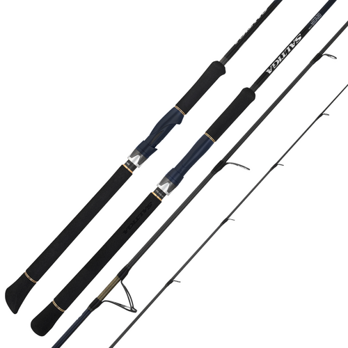 25 Daiwa Saltiga LC Spinning Fishing Rod