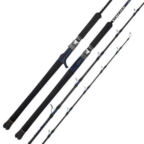 Daiwa Saltiga J Overhead Fishing Rod